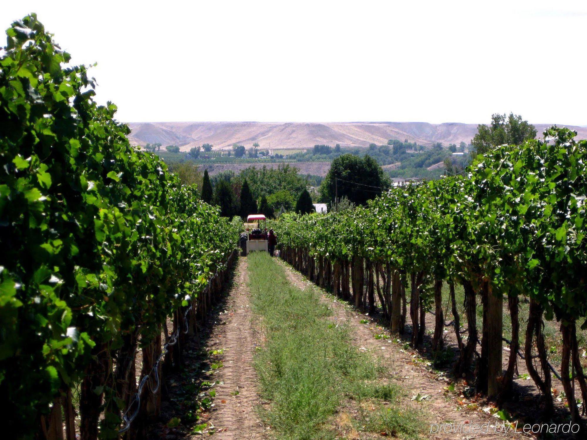 Wine Country Inn Palisade Exterior photo